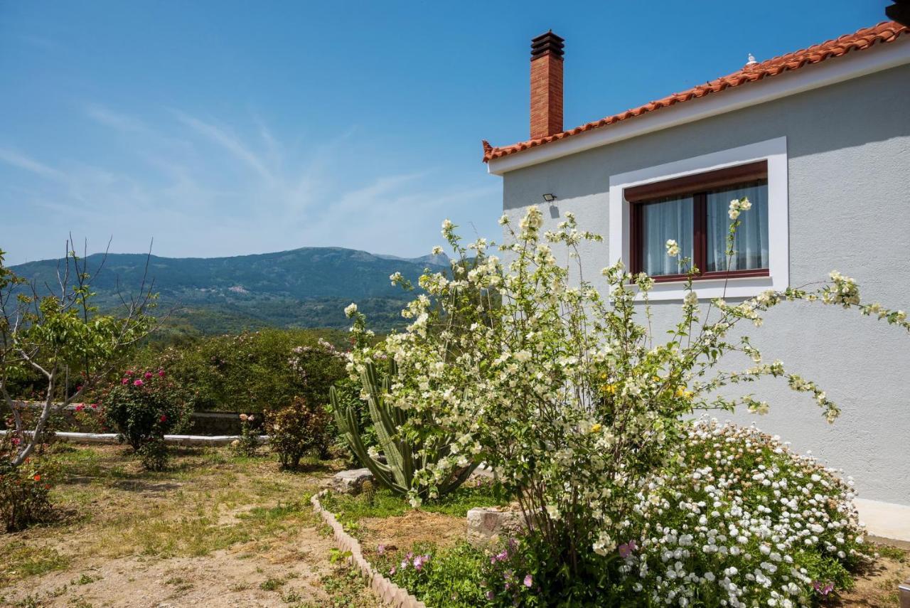 Nitsa House Karlovassi