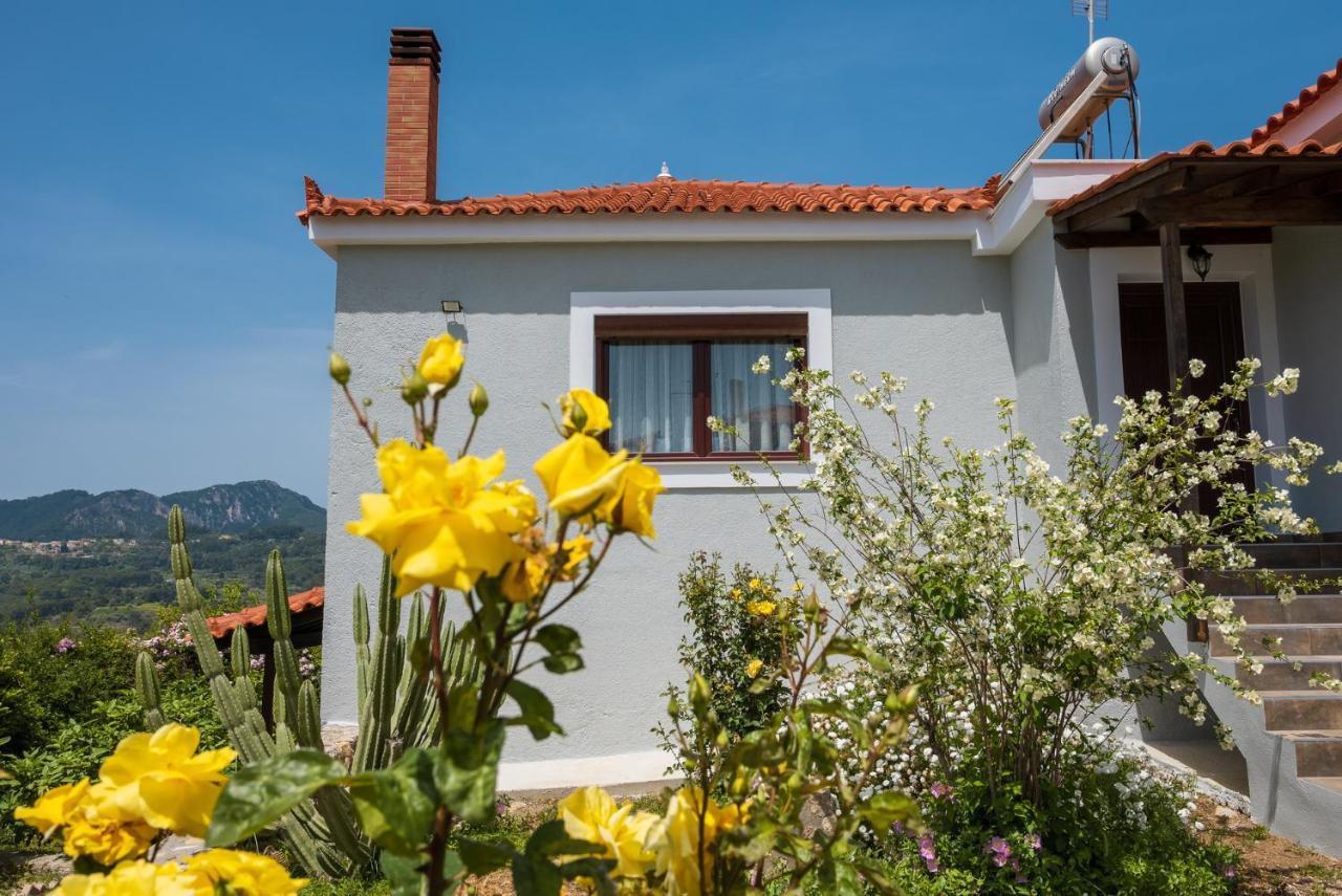 Holiday home Nitsa House Karlovassi